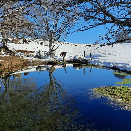 à La Ferme Au Cœur De L`aubrac Appartamento La Trinitat